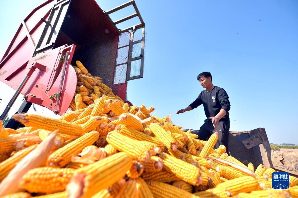 抢庄斗牛正版下载